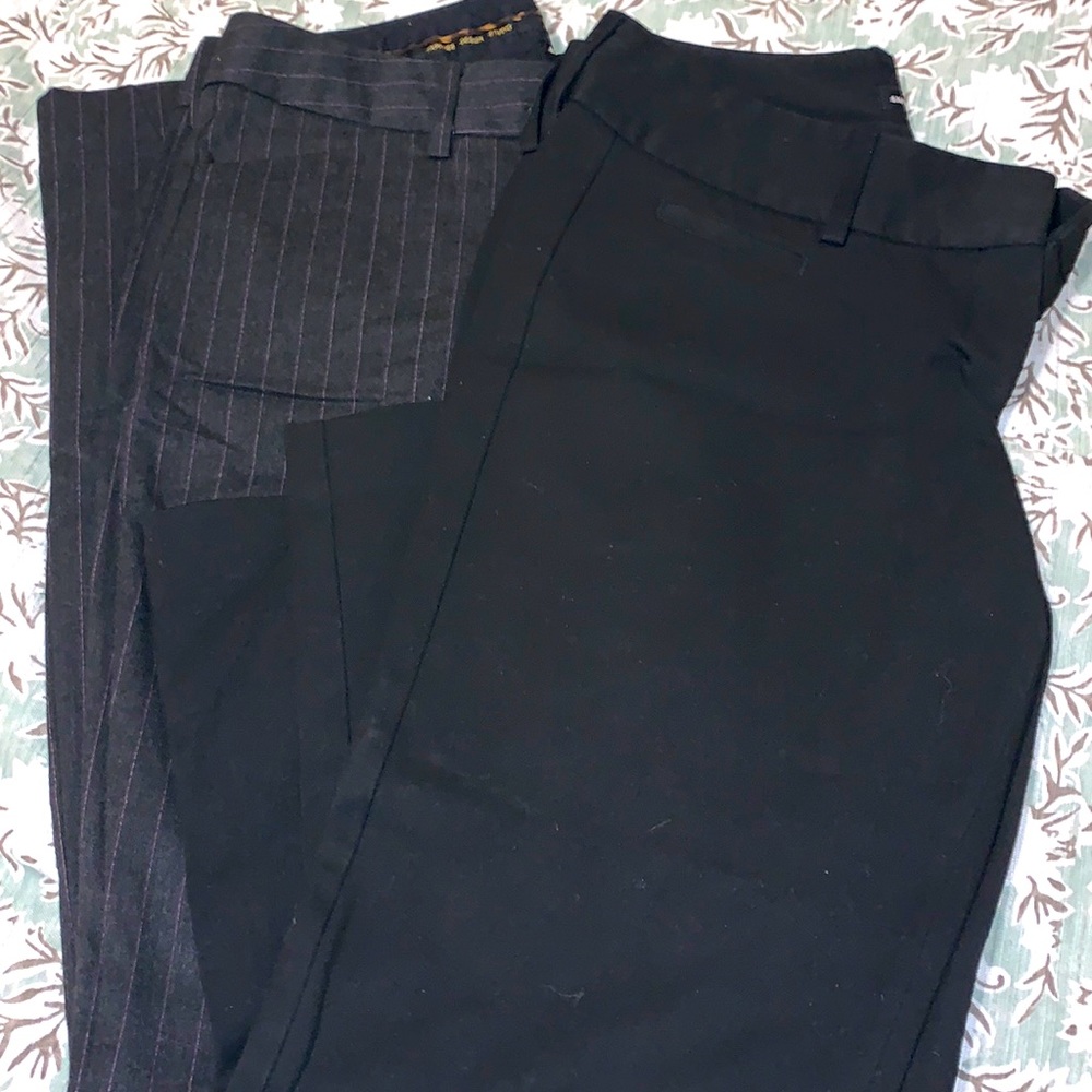 Express Dress Pants